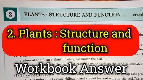7th std Science Workbook Chp 2 Plants : Structure and function