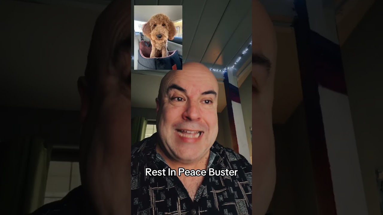 Rest In Peace Sweet Buster Rest In Peace Sweet Buster