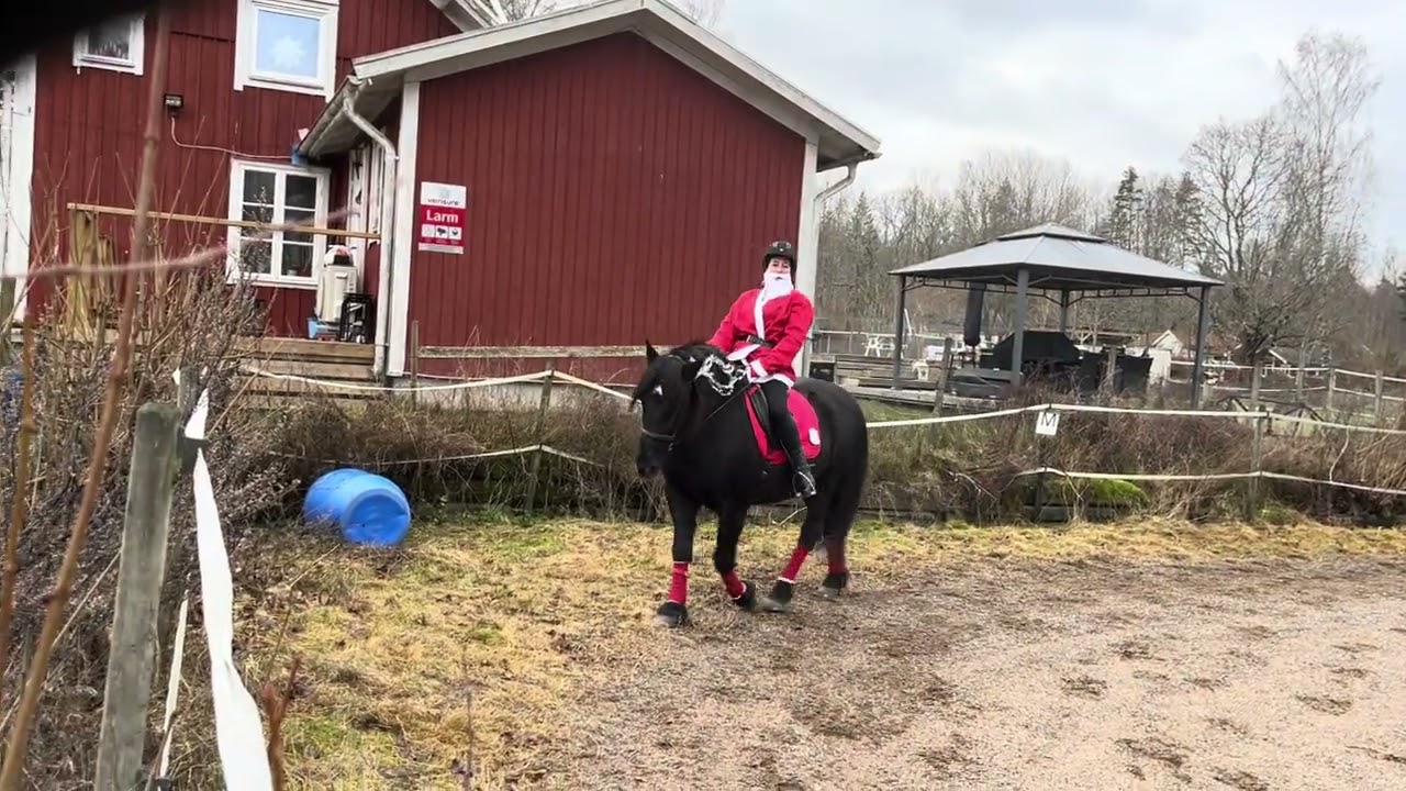Tomten och hans Nisse rider Luciadressyr online Lätt D:1. 