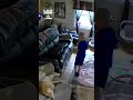 ドミノ効果が作用している😲🤣(🎥:コラボ)