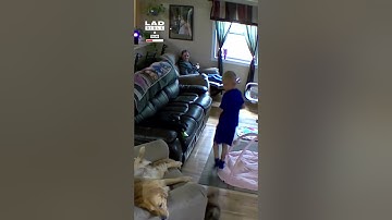 The domino effect in action 😲🤣 (🎥: Collab)