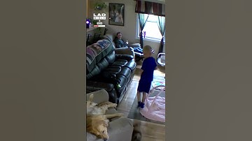 The domino effect in action 😲🤣 (🎥: Collab)