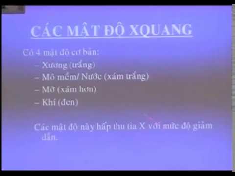 Video: 10 phim được xếp hạng dựa trên các sự kiện có thật