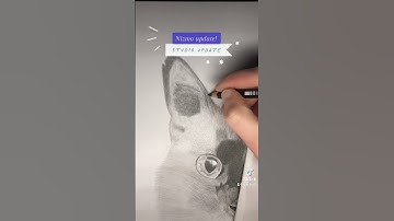 Cat graphite portrait tip #tips #artist #graphiteart #newchannelgrow #fyp #petportrait #growwithme