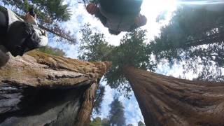 Exploring Sequoia / Kings Canyon National Park - Late Winter