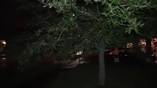 Snowing Houston, Texas - December 8, 2017 - Snow Blind