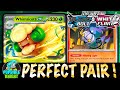 WHIMSICOTT ex : Don't Put Too Many Cards in Your Hand ! PTCGL Gameplay (BLACK BOLT & WHITE FLARE)