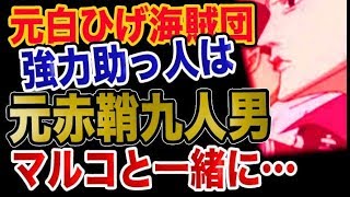 動画 ワンピース 予想考察 元白ひげ海賊団超強力助っ人は元赤鞘９人男 マルコと一緒に 動画でマンガ考察 ネタバレや考察 伏線 最新話の予想 感想集めました