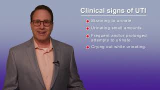 Antech FIRSTract Urine Culture test