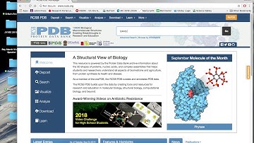 Downloading Protein Data Bank Structures