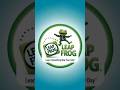 LeapFrog Logo 2004 New