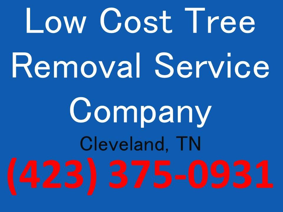 Tree removal elk rapids mi