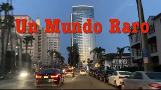 Un Mundo Raro • Carla Morrison
