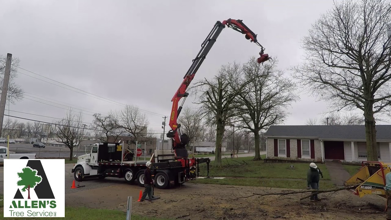 Allen's Tree Service Inc. - St. Charles County Missouri - Gone in 60 Seconds - 636-332-5535