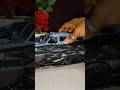 Mystery Monster Car Review | Fastest Toy Monster Truck? | rc car | #usa #hotwheels