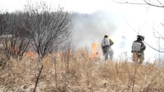 Athlete Statistics GRASS FIRE
