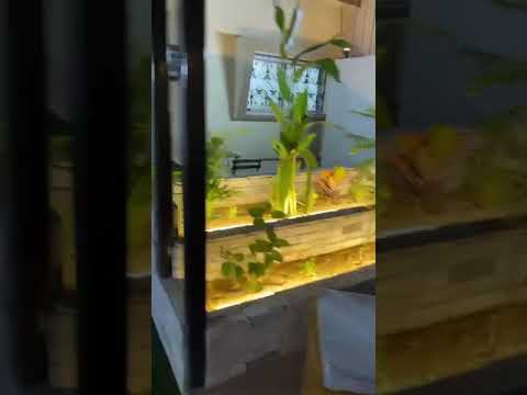 كراسي جلسات حديقه داخلي وخارجي