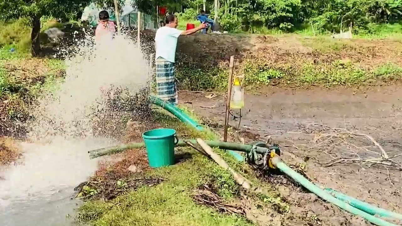 “২০২৫ সালে প্রথম বার দক্ষিণ এর বিল সেচ” #2025 #shorts #viral #foryou 