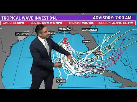 Tropical update: Tropical Depression No. 2 forms in Gulf of Mexico | No ...