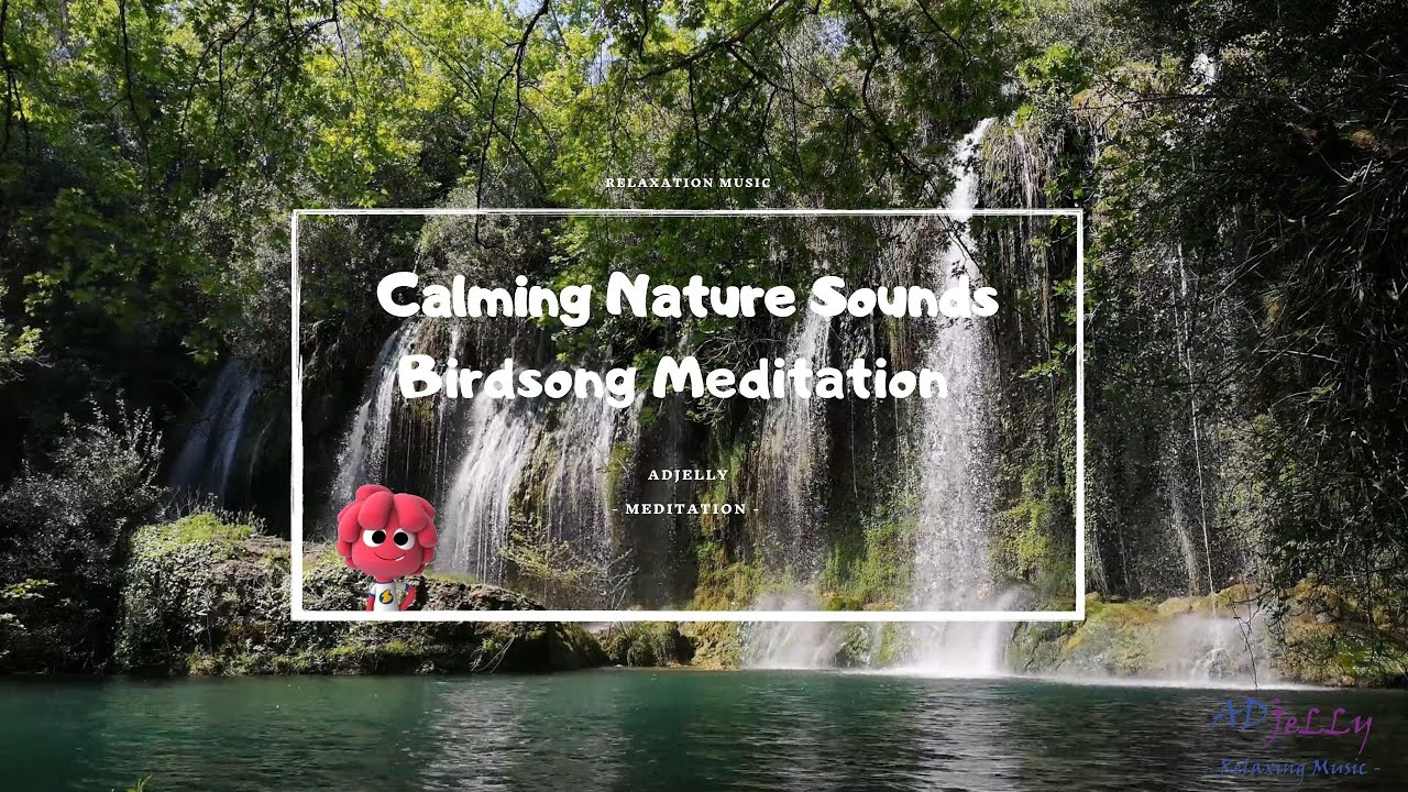 Calming Nature Sounds 🌞 Sound of Water Relaxation 🌞 Birdsong Meditation ...