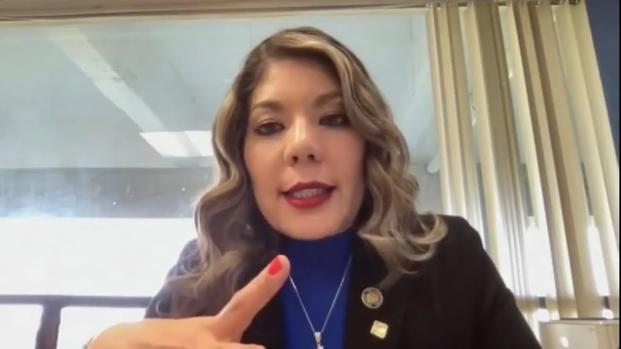Entrevista Con La Diputada Daniela Álvarez Youtube