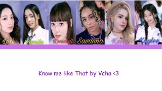 Vcha Know Me Like That E colorcoded S