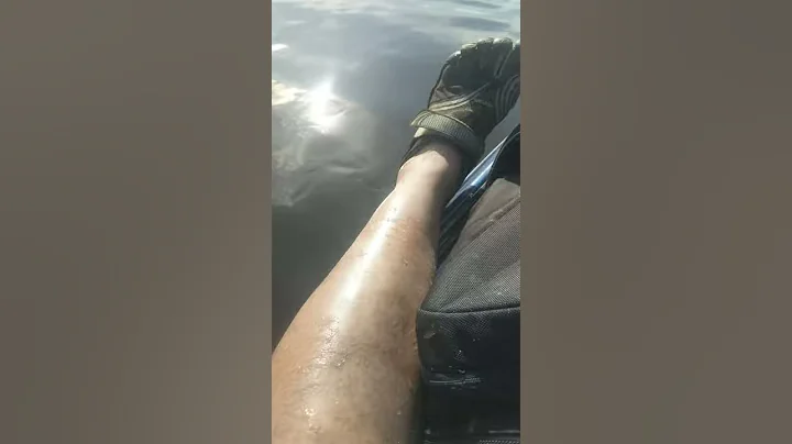 Rancocas creek nj(1)