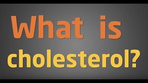 What causes high cholesterol?