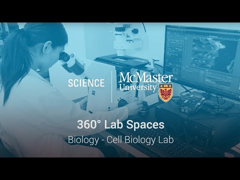 Virtual 360 Video - Department of Biology – Cell Biology Laboratory