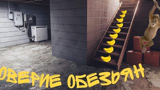 Доверие Обезьян | 2 Серия