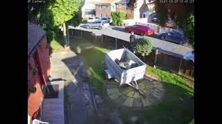 Hermes delivery driver throwing parcel screenshot 5