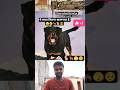 rottweiler duniya ka sabse khatarnak dog 🐕‍🦺🐕😎🥺#dog #dangerous #viral #shorts 😎🥺🐕