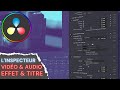 L&#39;inspecteur Davinci Resolve 18 en détail