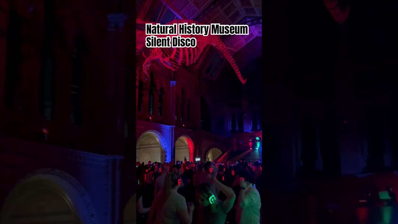 Natural History Museum Silent Disco shorts silentdisco Natural History Museum Silent Disco shorts silentdisco