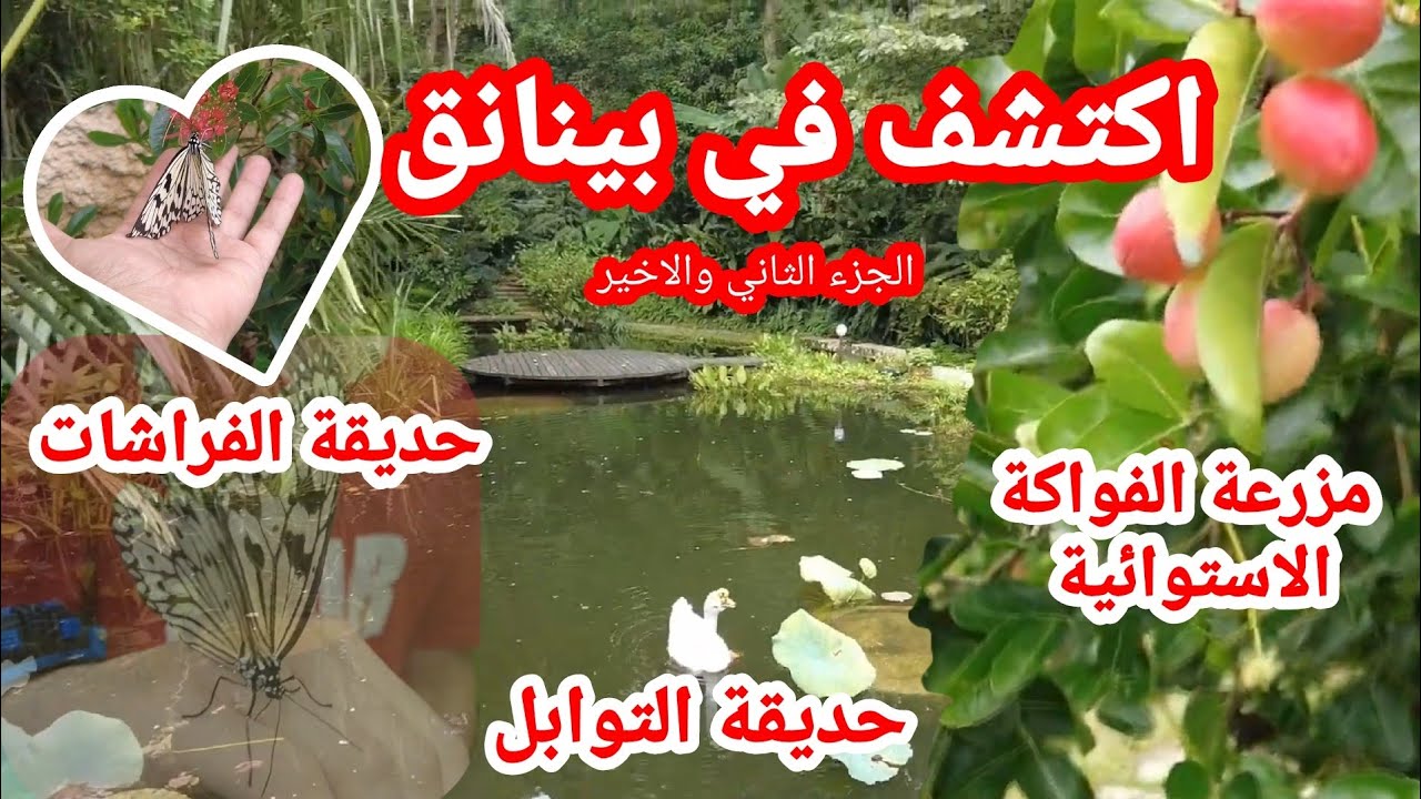 17 استمتع بأماكن ساحرة في بينانق: حديقة الفراشات والتوابل ومزرعة الفواكه part2 #ماليزيا #penang