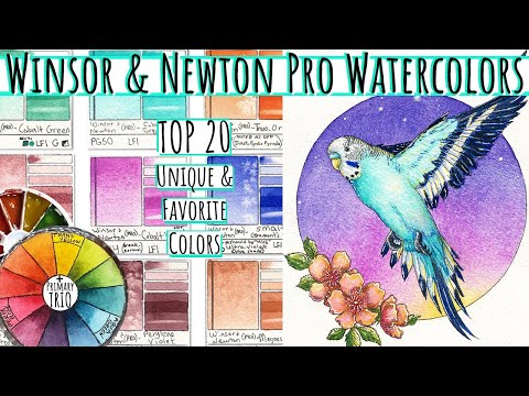 top-20-winsor-and-newton-professional-watercolor-review-tubes-pans-109-color-dot-card-palette-set-up