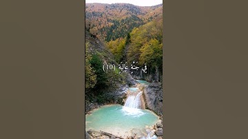 {في جنة عالية} سورة الغاشية بصوت عبد الرحمن مسعد #قرآن #راحة_نفسية #اكسبلور