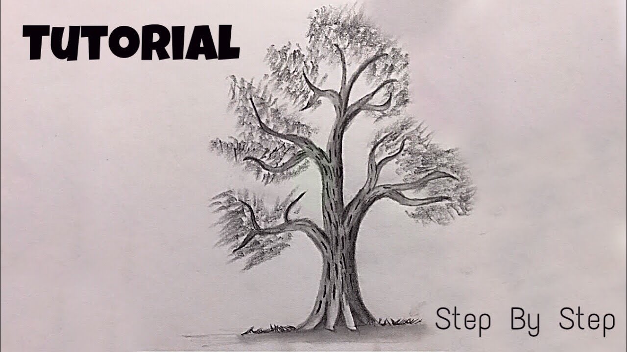 Donts  Dos How to Draw Realistic Tree Trunk  Easy Step By Step   Pencil Drawing Tutorial  YouTube