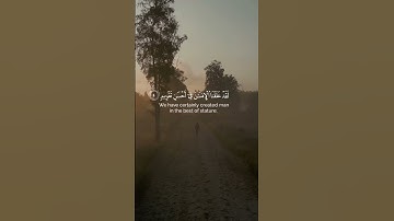 سورة التين ، #السديس #قرآن