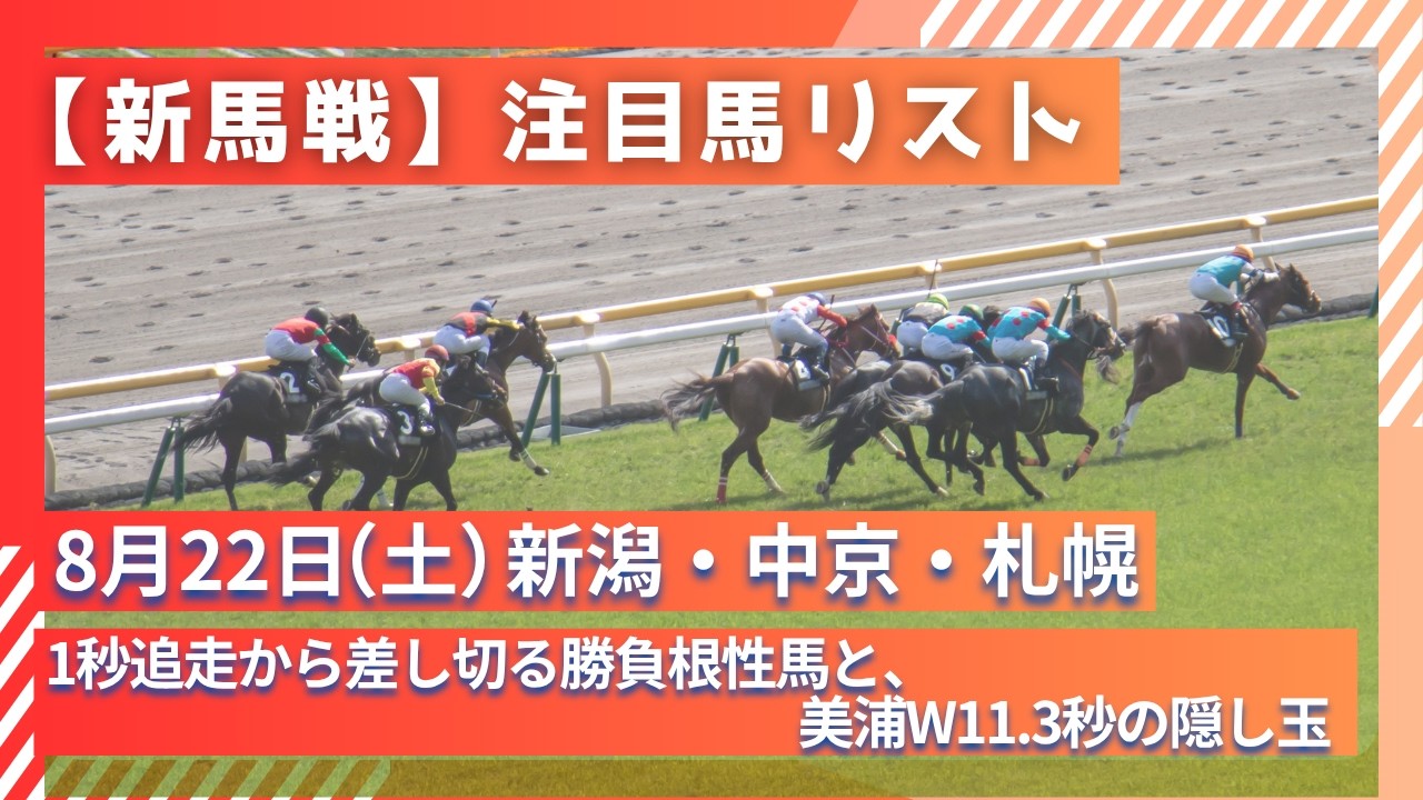 ファインモーション 全て現地馬券 新馬戦含む全17レース ファイン
