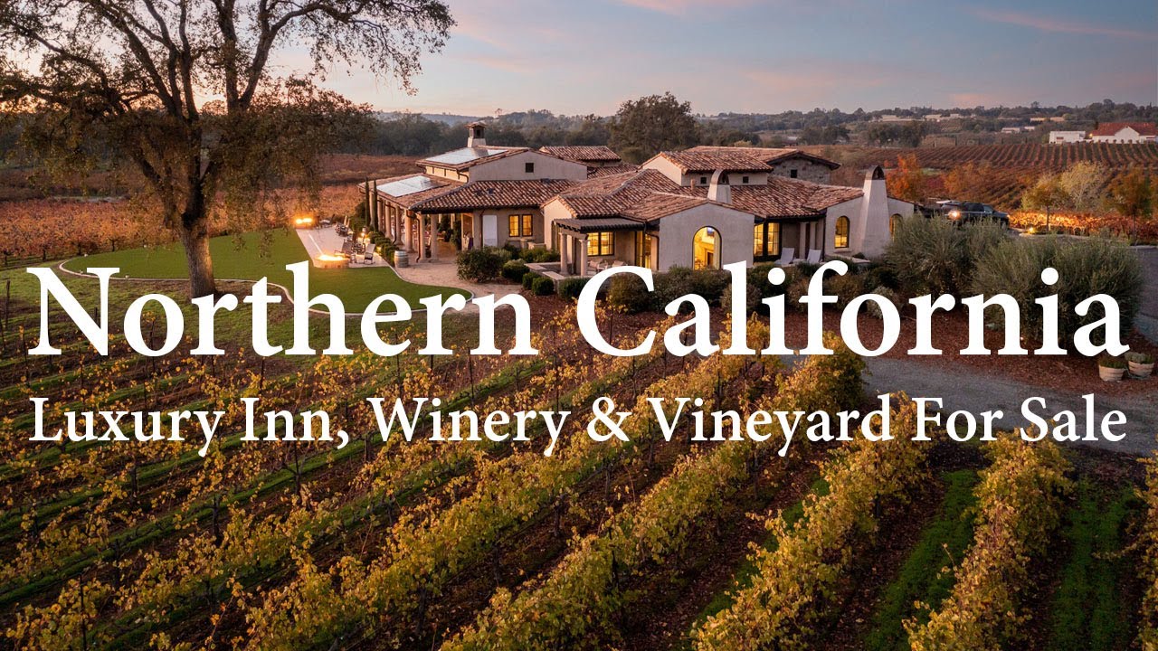 Picture Idea: Northern California Luxury Inn Winery Tasting Room And Vineyard For