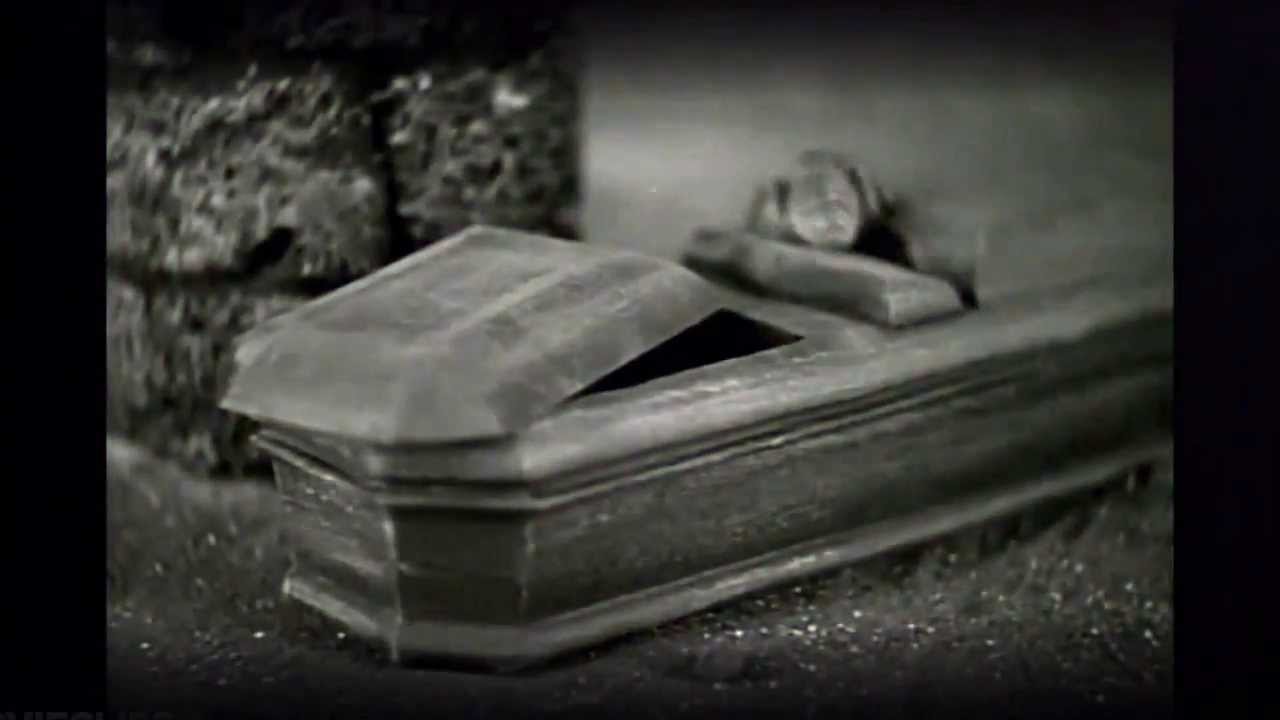 THE HOLY COAST /// IN OUR HEADS AGAIN