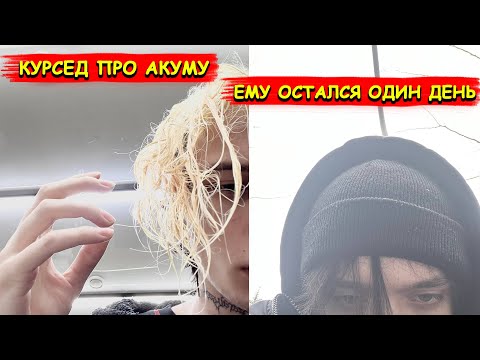 КУРСЕД ПРО АКУМУ, ВСЯ ПРАВДА
