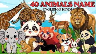 40 Animals Name English and Hindi for kids # Learn animals name # animals name activity