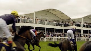 Bose Professional Case Study - Ascot Racecourse