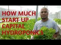 SNAP HYDROPONICS START UP COSTS | Puhunan sa Hydroponics Farming