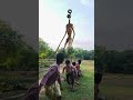 siren head 🚨 in real life 😱 #trendingreels#youtubeshorts#shorts#shortvideo#reels#horror#bhoot#vfx