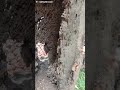 The Will Of Want To Live