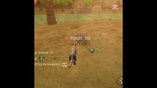 ahora nomas juego runs solos en dw #onichan #wildcraft #dandysworld
