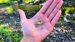 MICRO Fishing With The WORLDS SMALLEST Lipless Crankbait